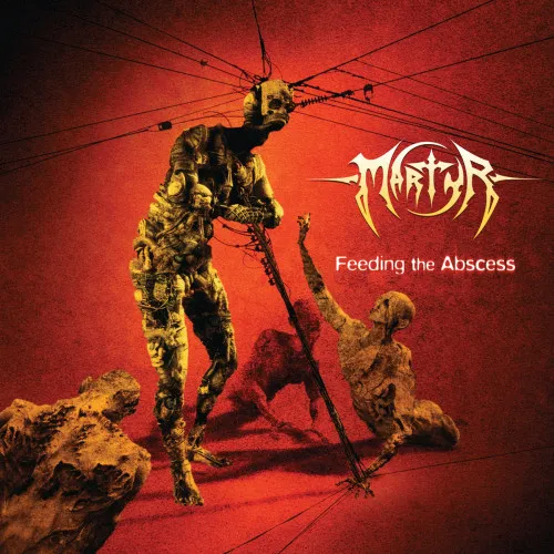 Feeding The Abscess LP