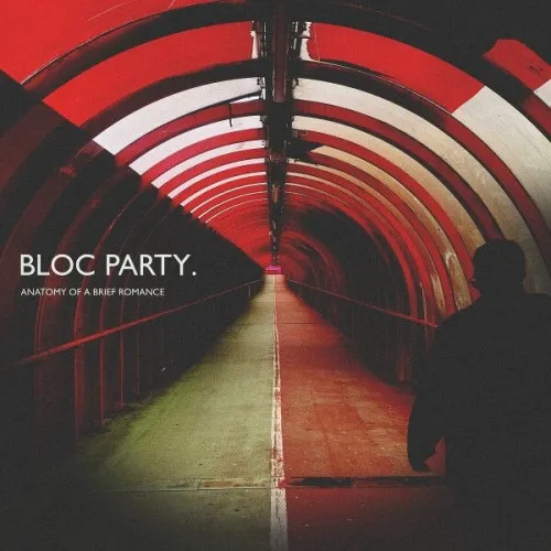 Anatomy Of A Brief Romance LP RED INDIE