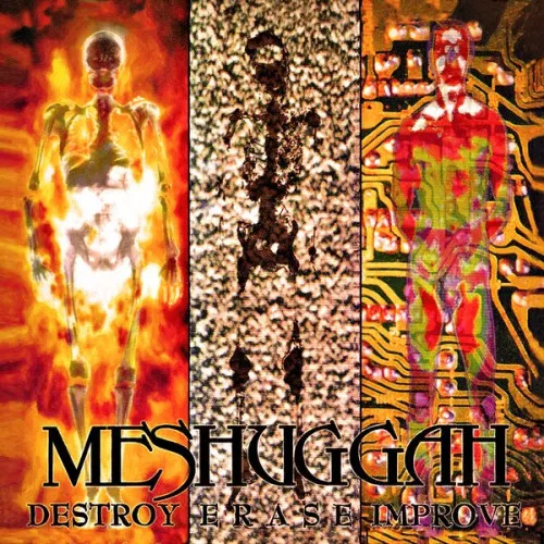 Destroy Erase Improve 30th Anniversary LP MARBLED
