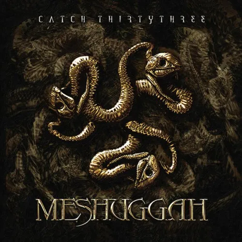 Catch Thirtythree 20th Anniversary