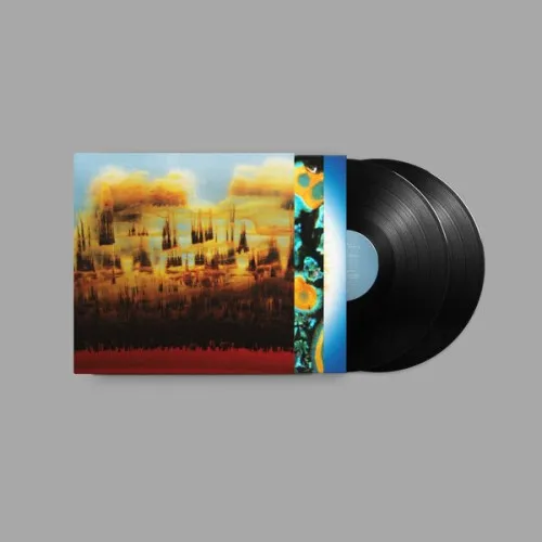 DISTANCE IN STATIC (BLACK VINYL)