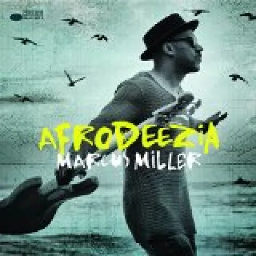 Afrodeezia