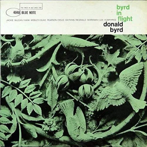 Byrd In Flight