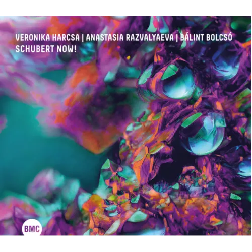 SCHUBERT NOW!