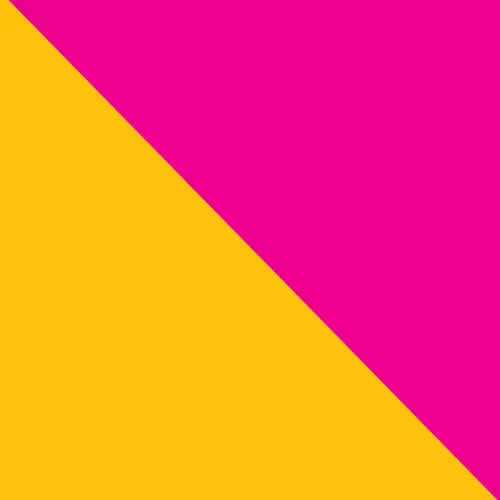 FLAG -LTD--LIMITED COLLECTOR EDITION, 1979 ALBUM