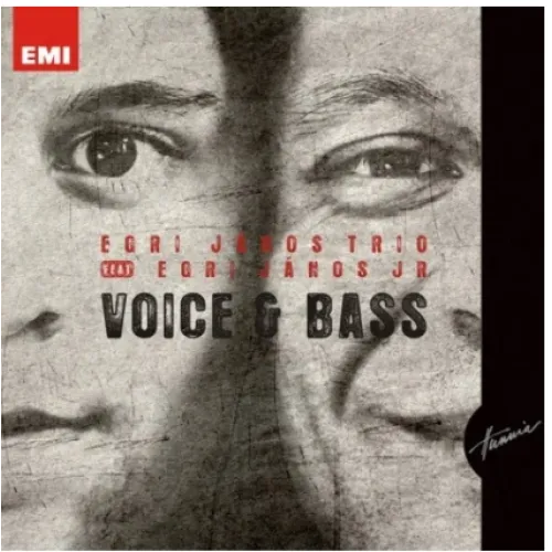 Voice & Bass