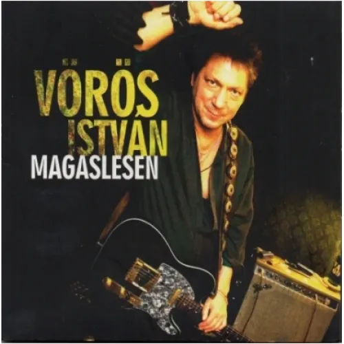 Magaslesen