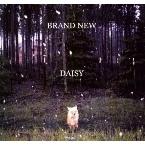DAISY 