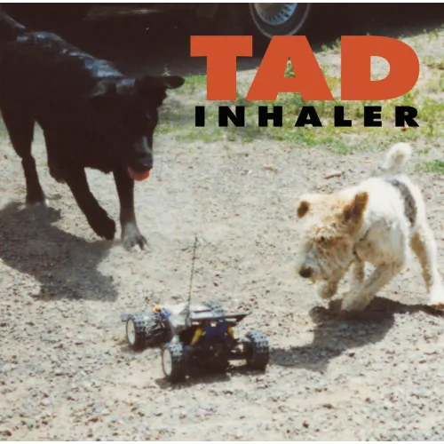 INHALER