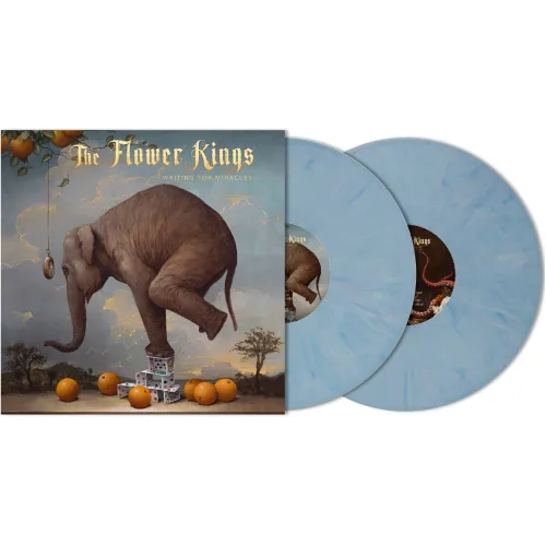 Waiting For Miracles LP BLUEBERRY