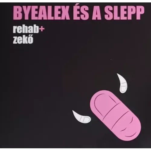 Rehab+Zekő