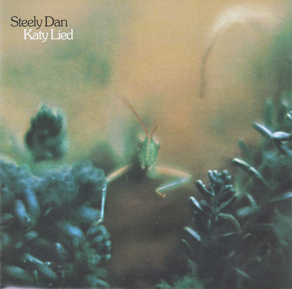 KATY LIED