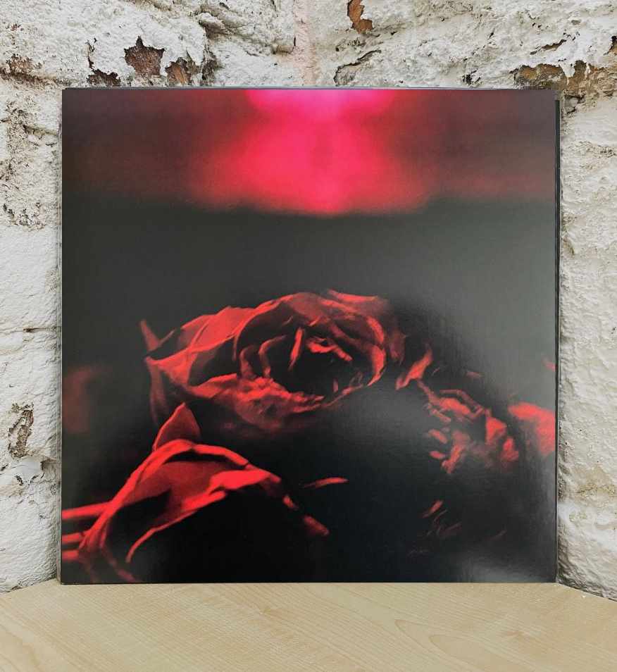 ROSES -COLOURED-