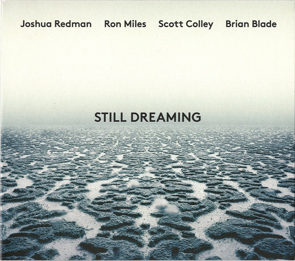 STILL DREAMING