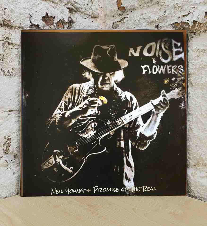 NOISE AND FLOWERS (140 GR 12