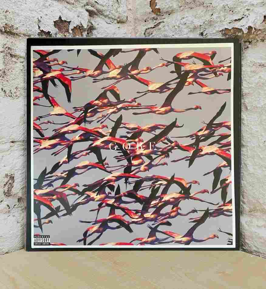 Gore [Vinyl LP] 