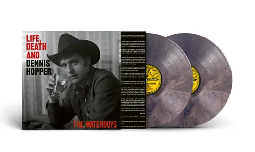 Life Death & Dennis Hopper LP PSYCHODELIC INDIE
