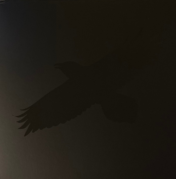 ODINS RAVEN MAGIC