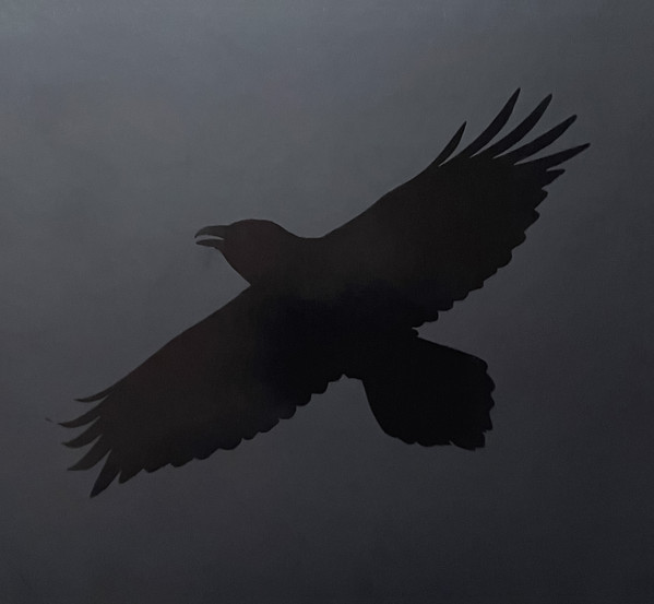 ODINS RAVEN MAGIC