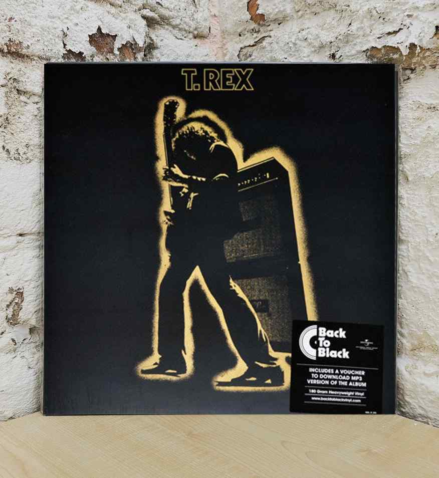 ELECTRIC WARRIOR