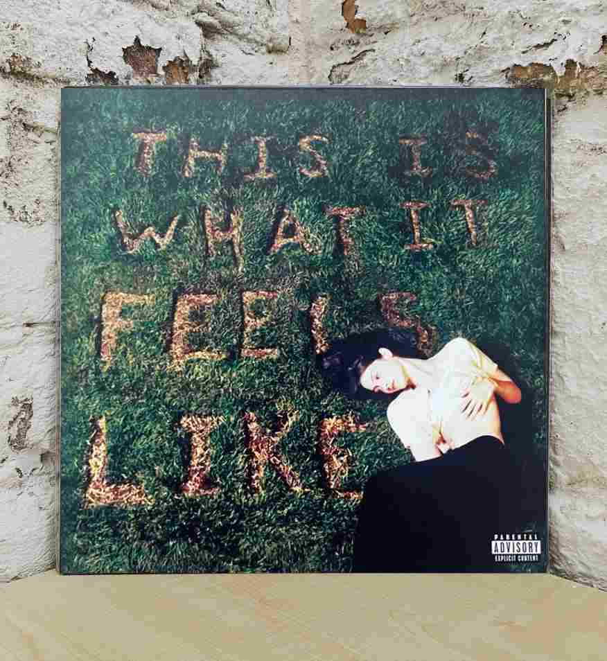 THIS IS WHAT IT FEELS LIKE