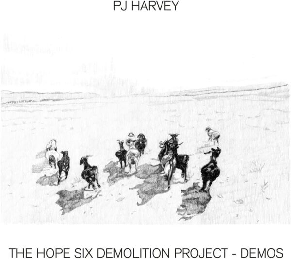 The Hope Six Demolition Project - Demos