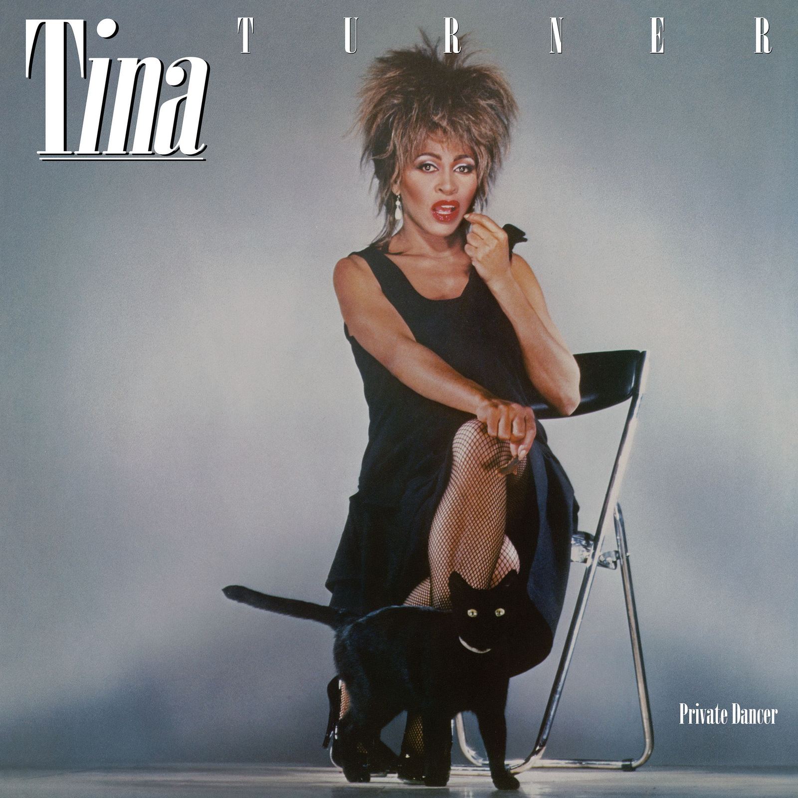 PRIVATE DANCER (30TH ANNIVERSARY EDITION)