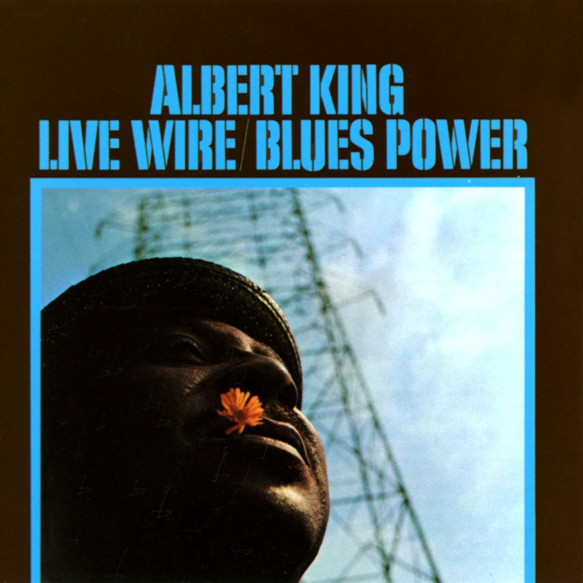 LIVE WIRE / BLUES POWER