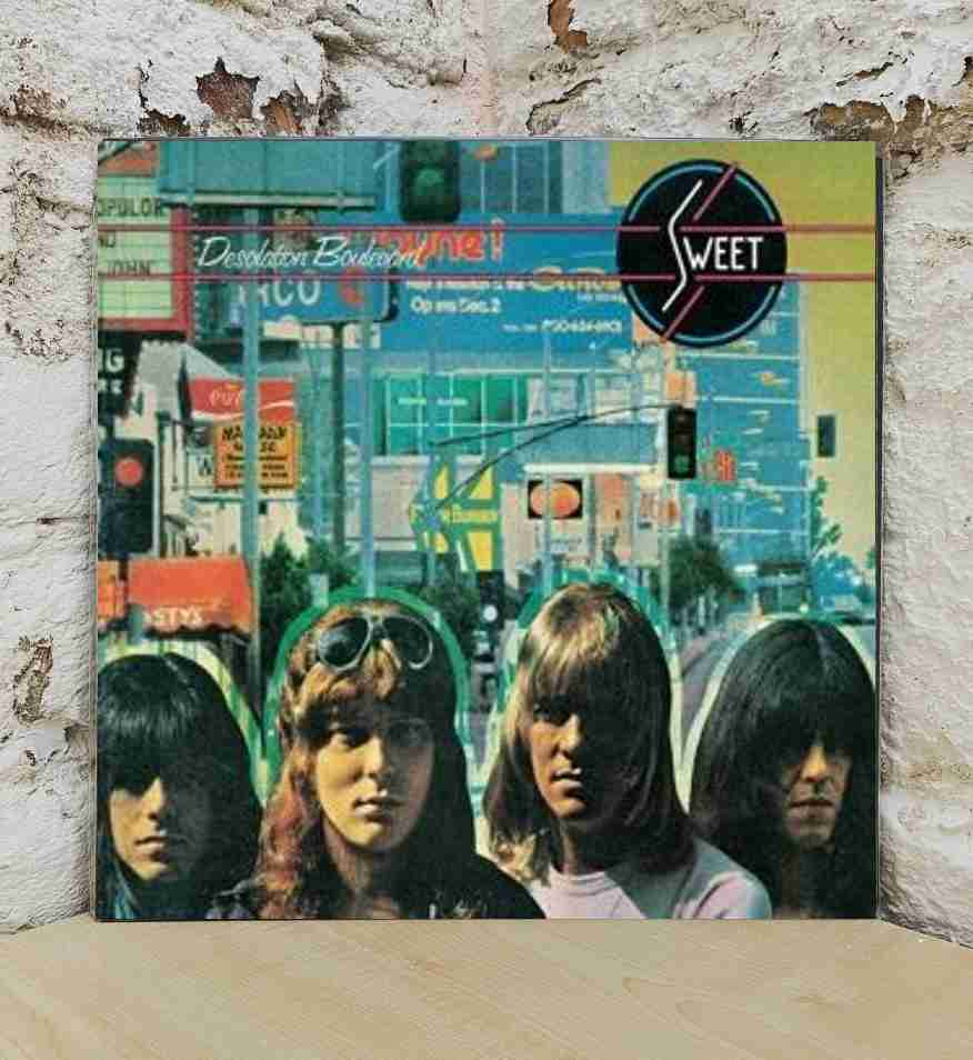 Desolation Boulevard (New Viny