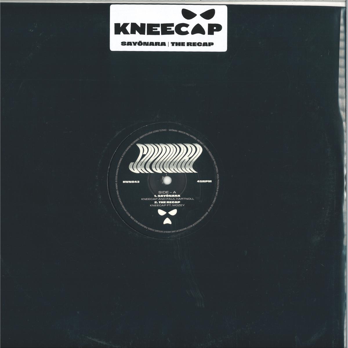 Sayonara The Recap LP