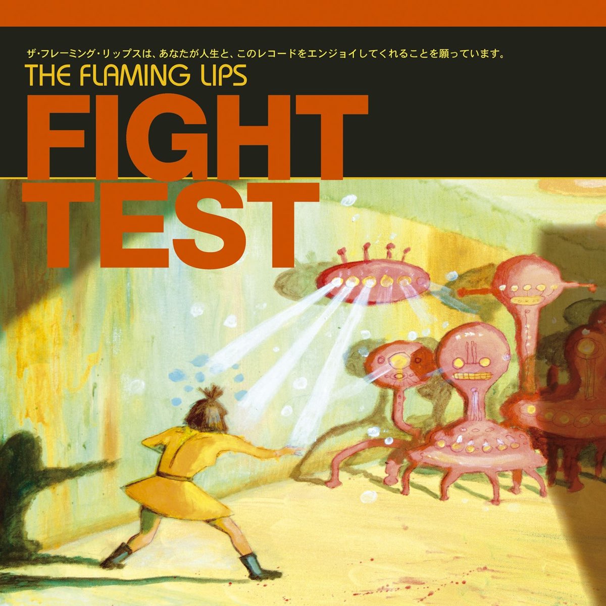 FIGHT TEST (140 GR 12