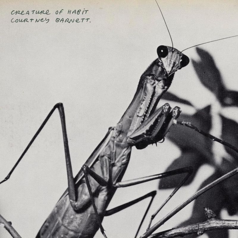 Creature Of Habit LP MARBLED INDIE