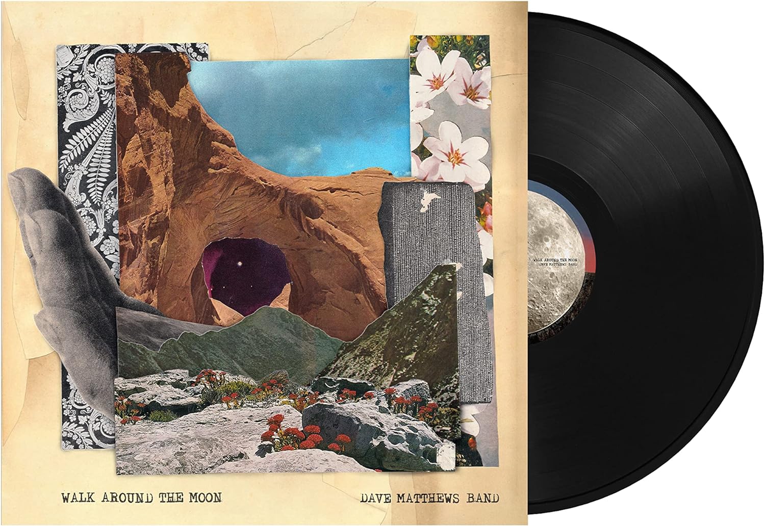 Walk Around The Moon LP