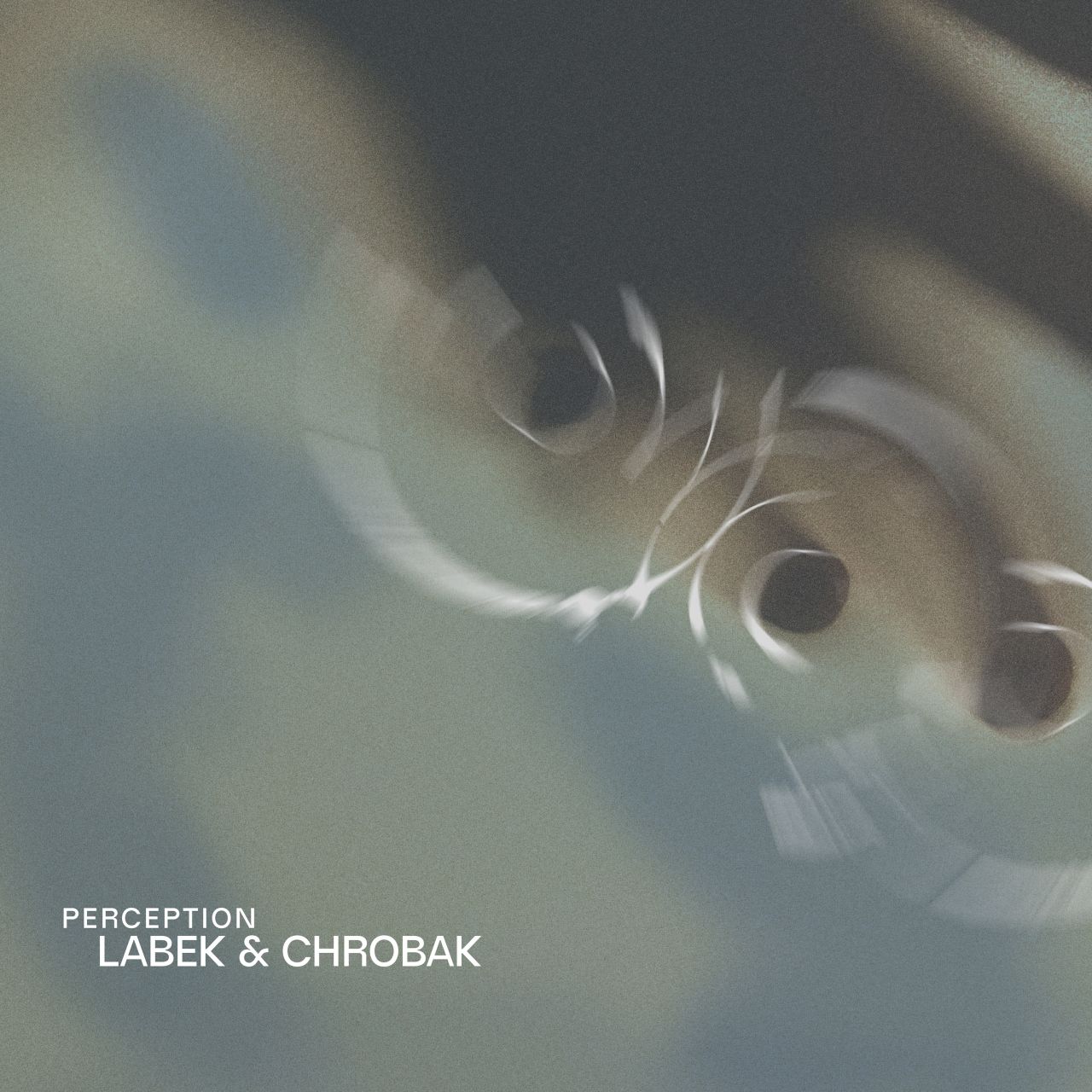 Perception LP