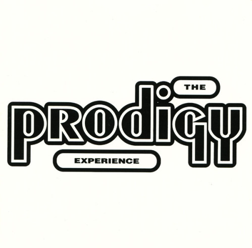 EXPERIENCE