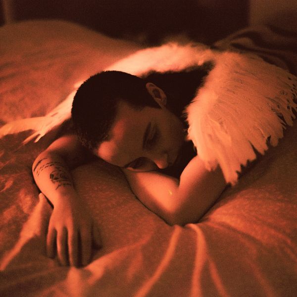 MIDNIGHT BUTTERFLIES 