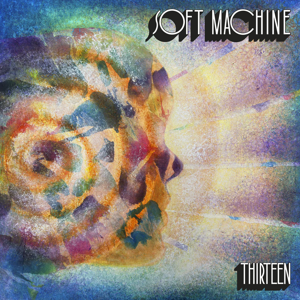 THIRTEEN 