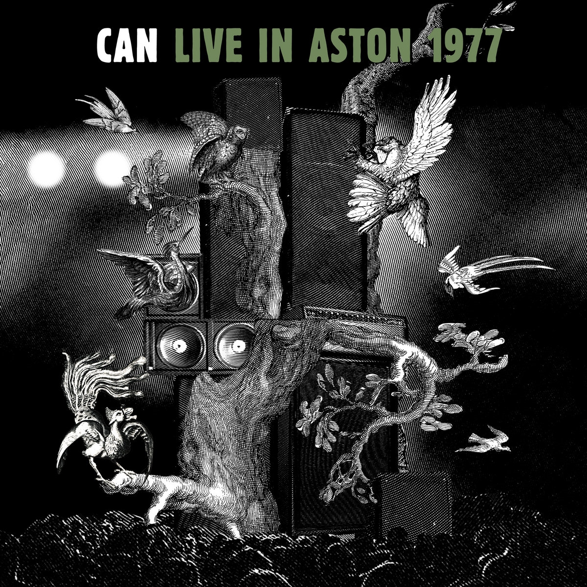 Live In Aston 1977 LP