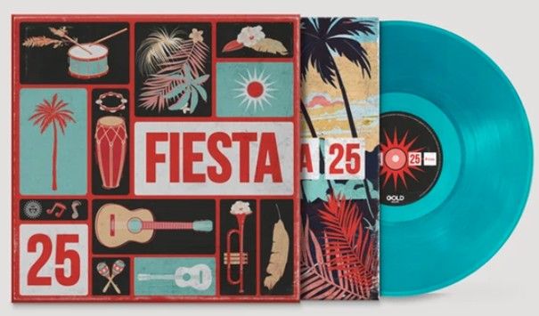 25-(TÜRKIZ VINYL)