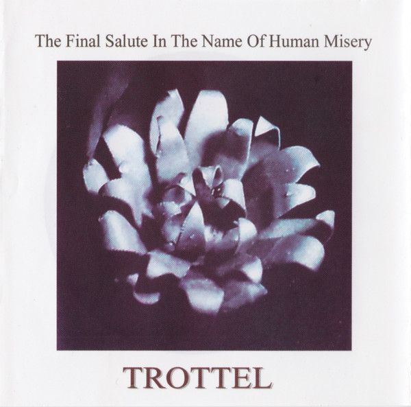 The Final Salute 1991 
