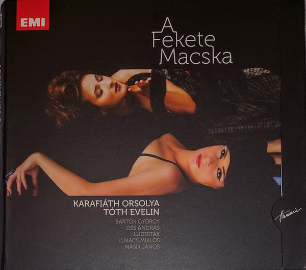 A fekete macska