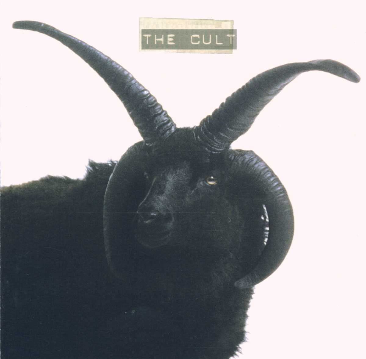 The Cult  (Coloured, Indie Only)