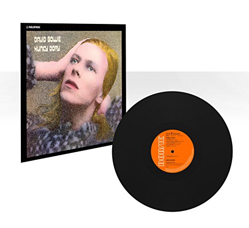 HUNKY DORY