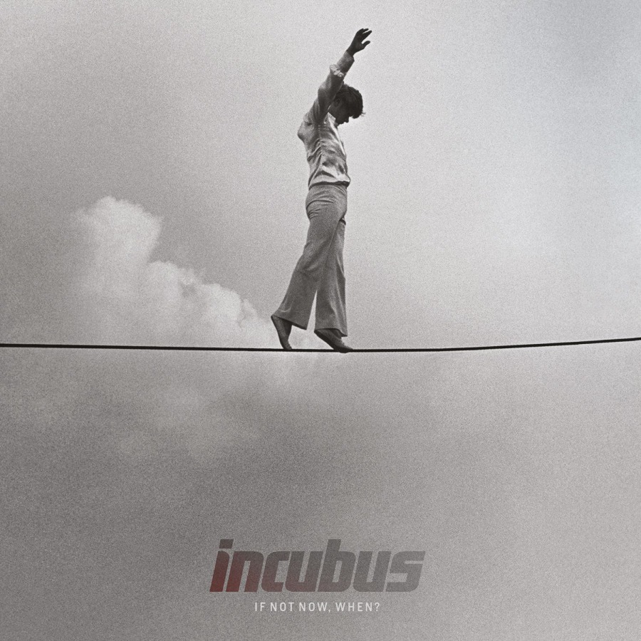 IF NOT NOW, WHEN? -CLRD-180GR/PRINTED INNERSLEEVES/2000 CPS WHITE MARBLED VINYL