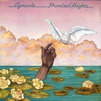 Promised Heights LP PINK