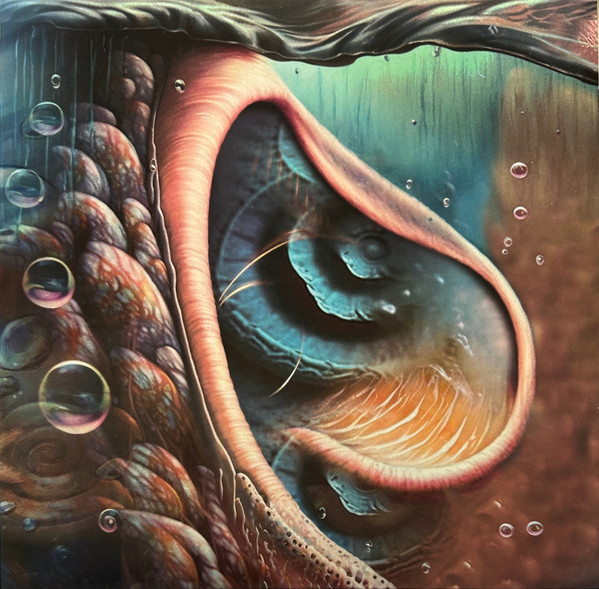 Meddle Reimagined - A Tribute To Pink Floyd LP HAZE