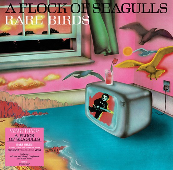Rare Birds - 'A -Rsd- Of Seagulls' B-Sides, Edits And Alternate