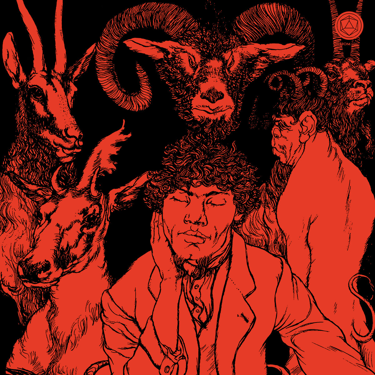 Liminal Animals LP BLACK