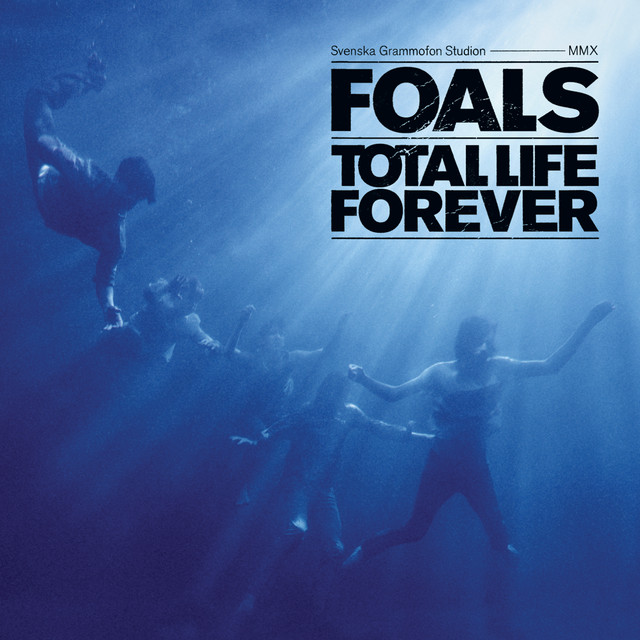 TOTAL LIFE FOREVER (140 GR 12
