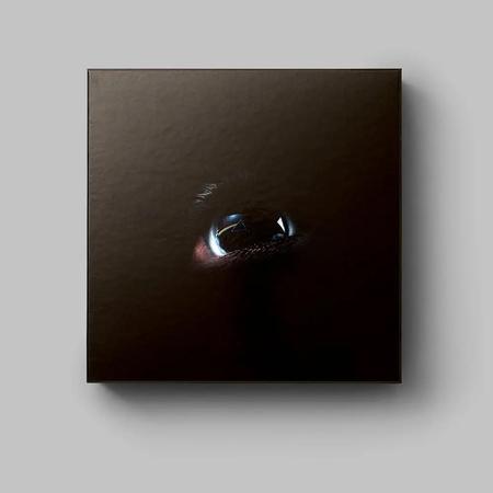 The Dark Side of the Moon Redux [Boxed Set 10 discs]